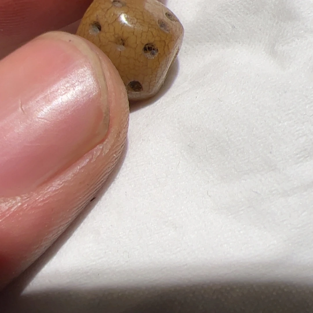 项圈玻璃你在一起的