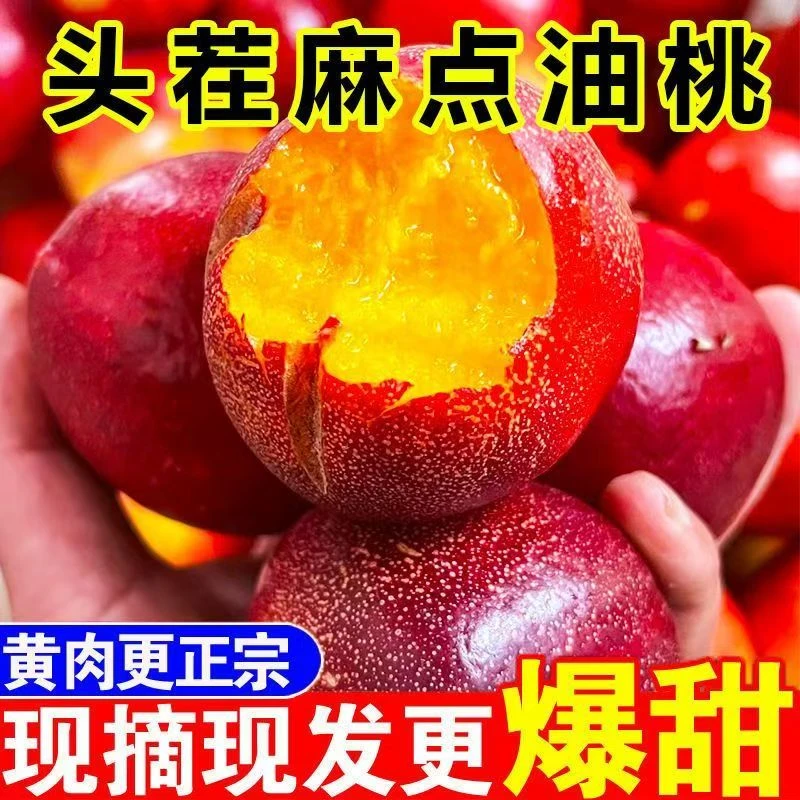 当季桃子心正宗油桃新鲜桃子脆甜应季孕妇水果脆桃整箱水蜜桃批发