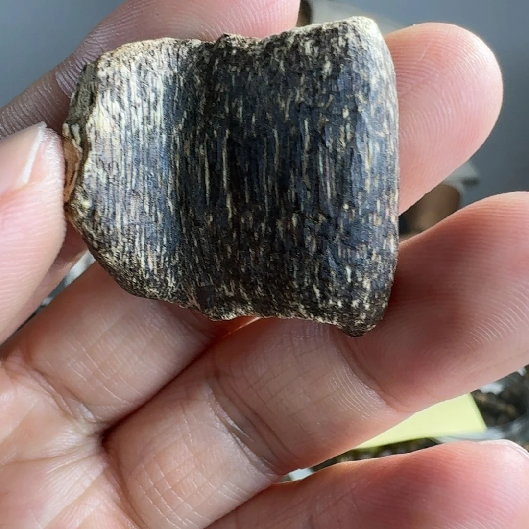 沉香吊坠小****?国香吊坠多样性发货
