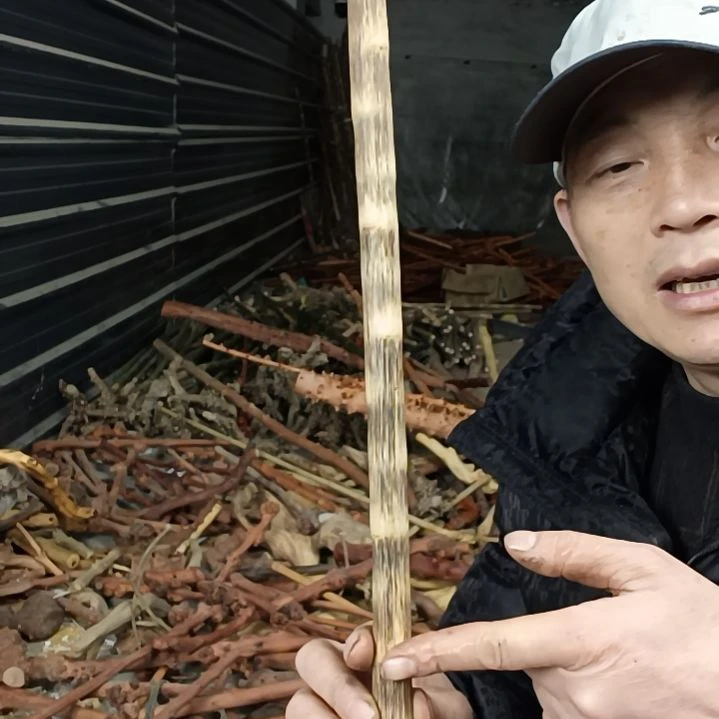 稳定木?****?贵州檬子木   铁马鞭   根艺  半成品