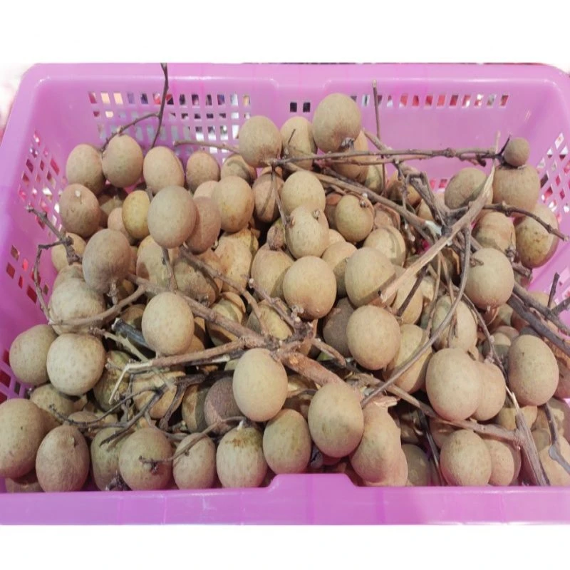 小件龙眼 带箱子1800g/件