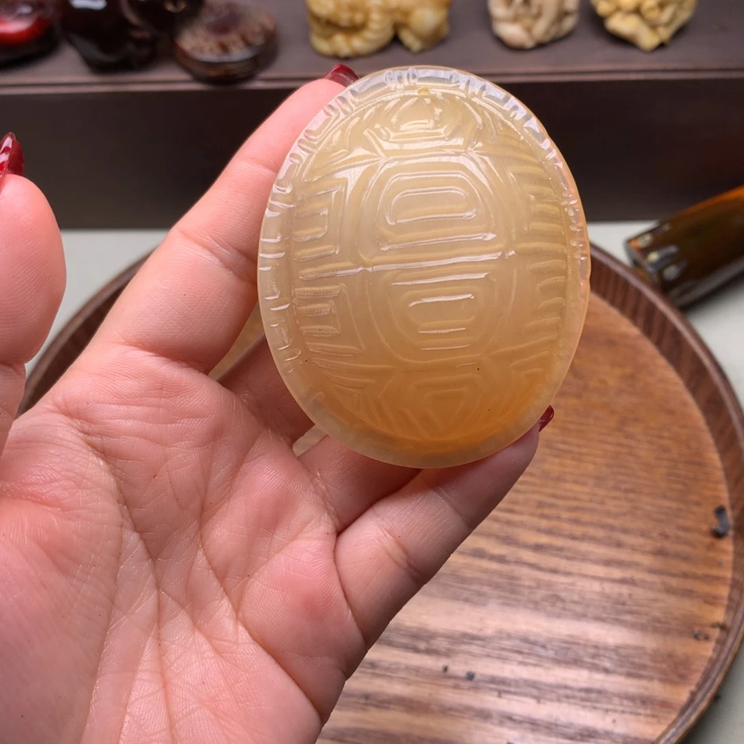 驼骨其他好看驴踢