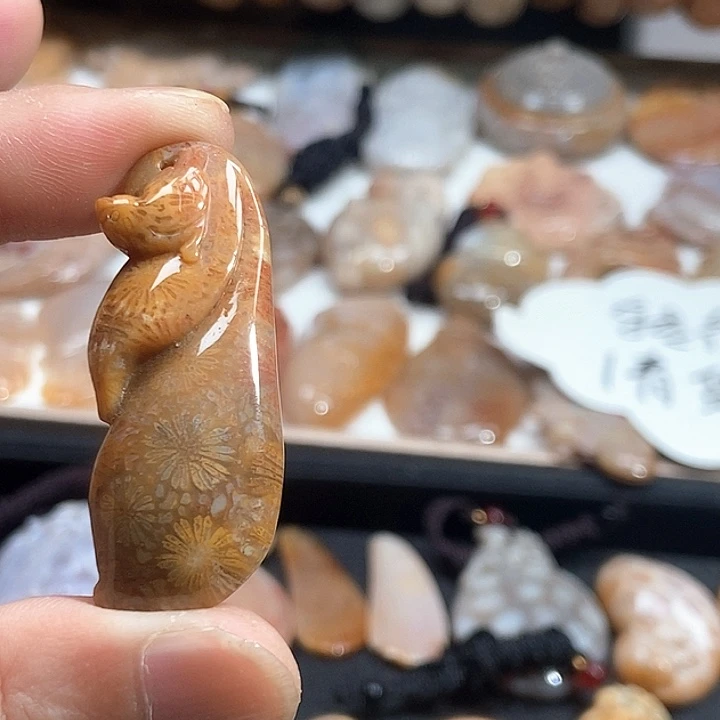 颈饰未镶嵌硅化珊瑚（珊瑚玉）