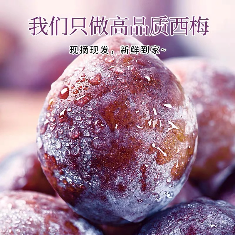 [2斤装]正宗新疆西梅净果当季水果