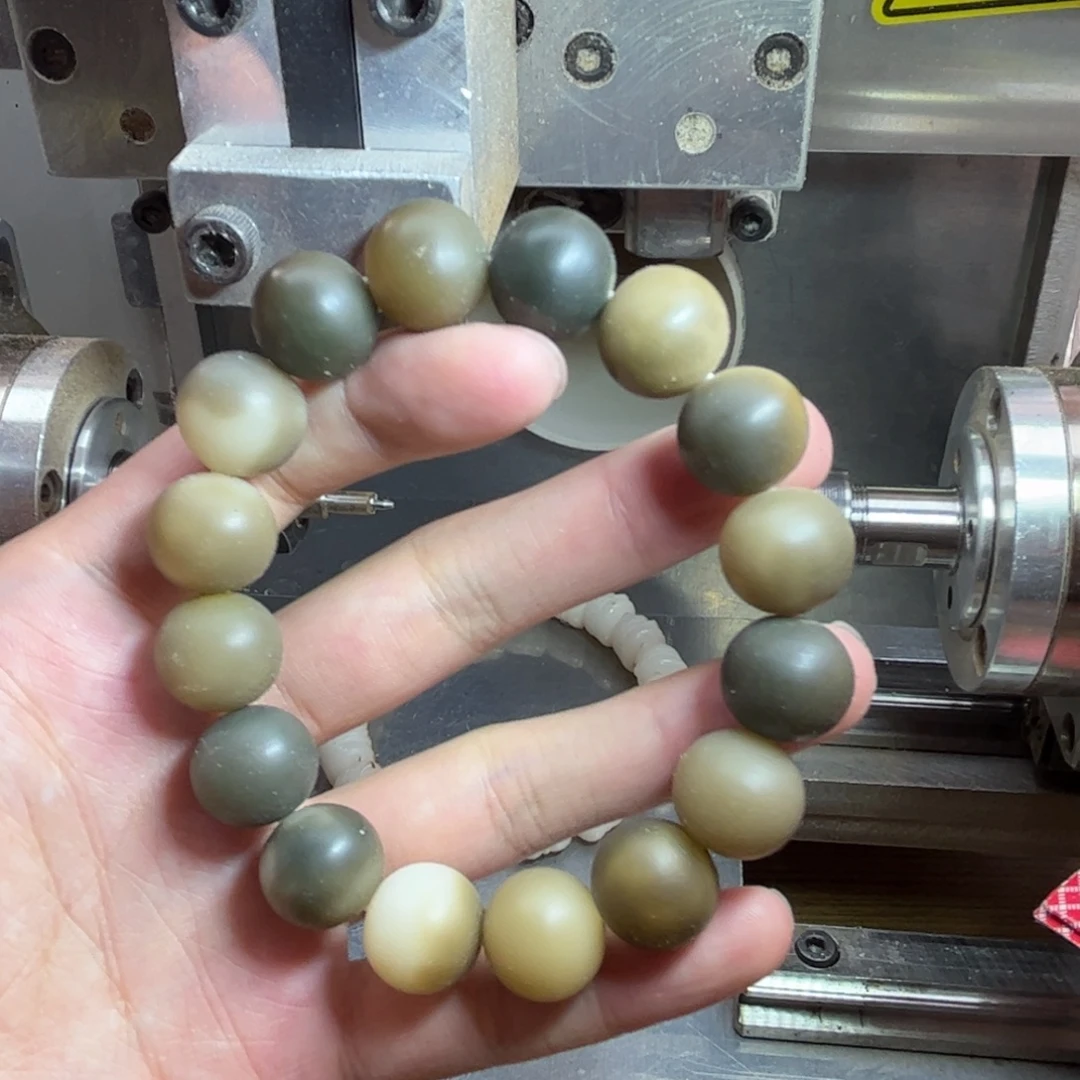 吊坠菩提根/象牙果