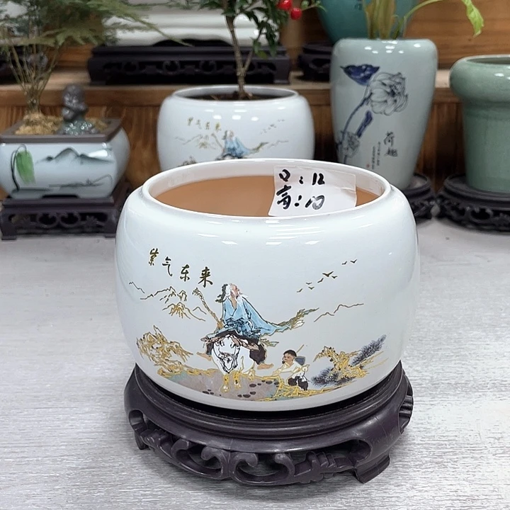 陶瓷花盆紫砂花盆抢购福利