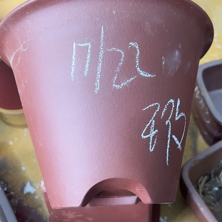 瑕疵瑕疵瑕疵瑕疵瑕疵瑕疵