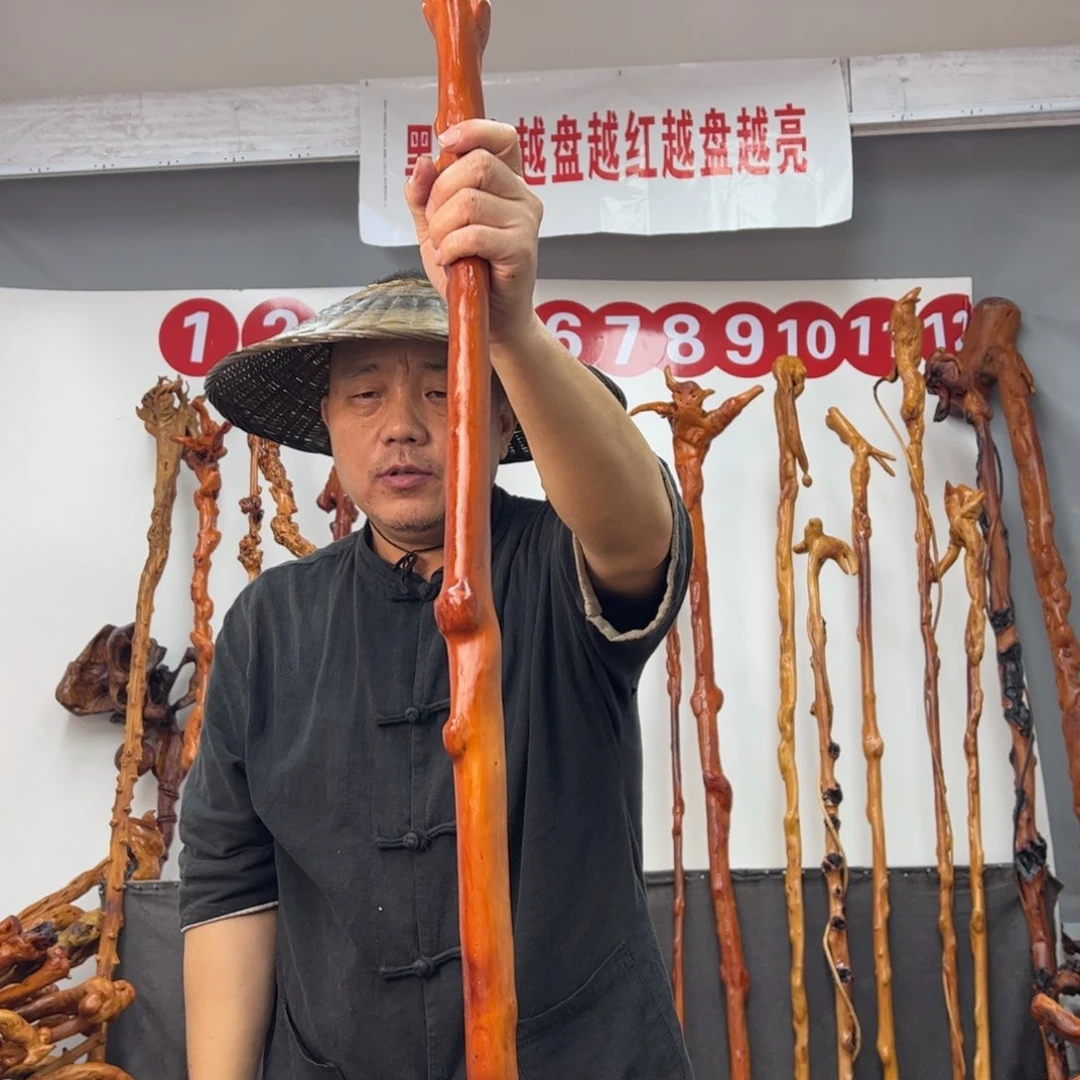 黑果木其他黑果木211