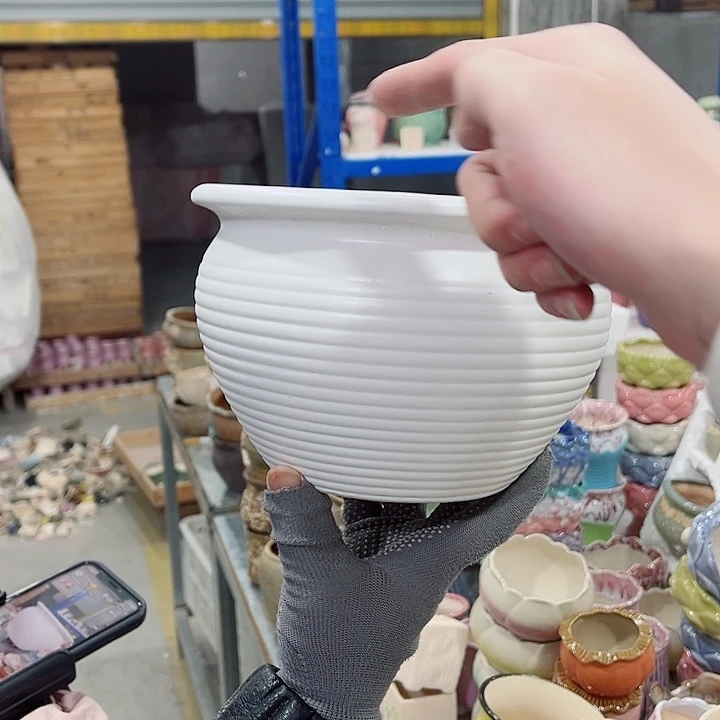 陶瓷正品数量有限