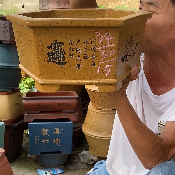 紫砂紫砂紫砂紫砂