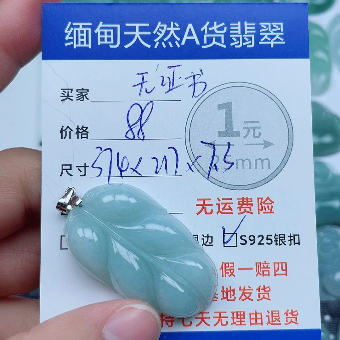 翡翠银S925镶嵌颈饰翡翠