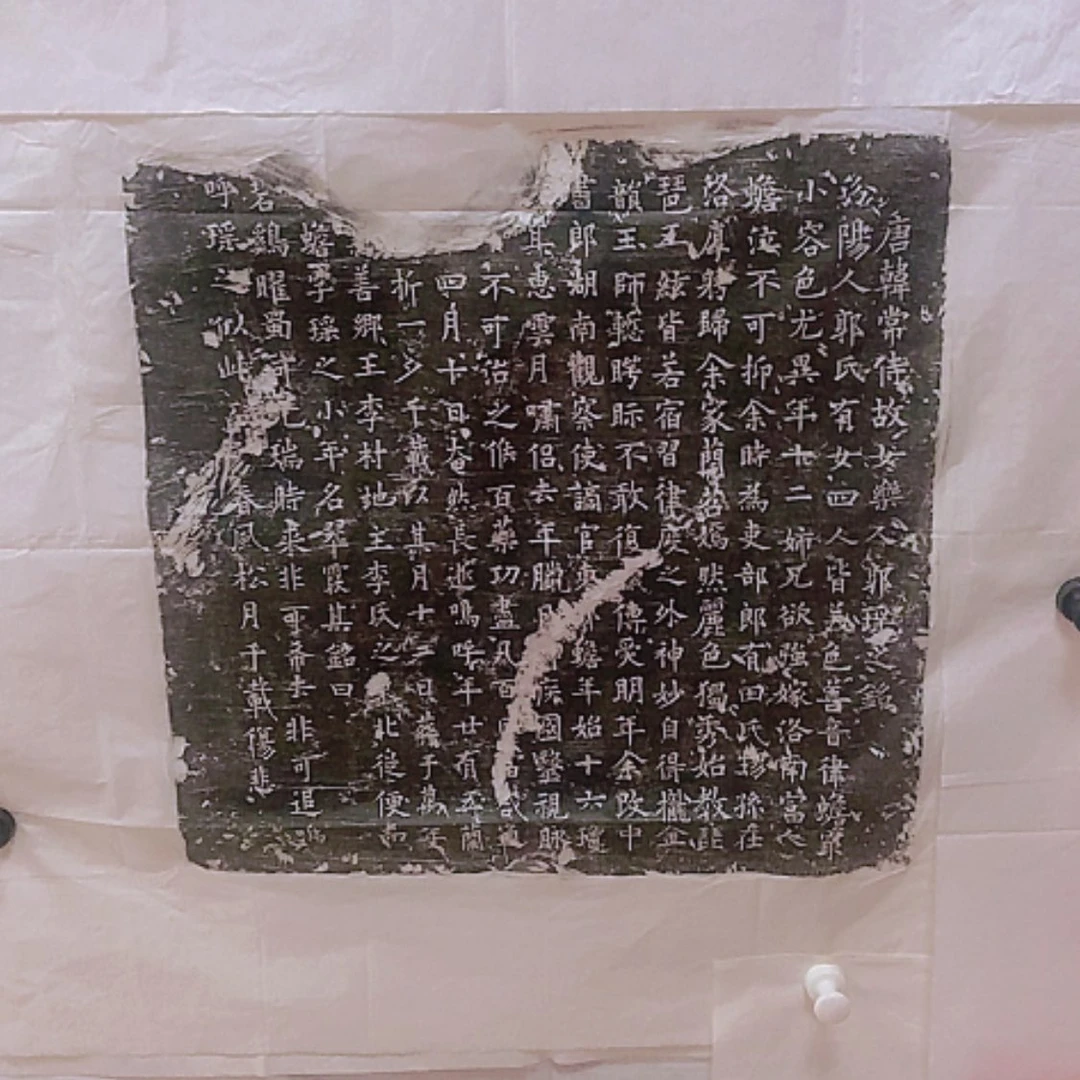 【闪购商品】拓片用纸其他郭瑶