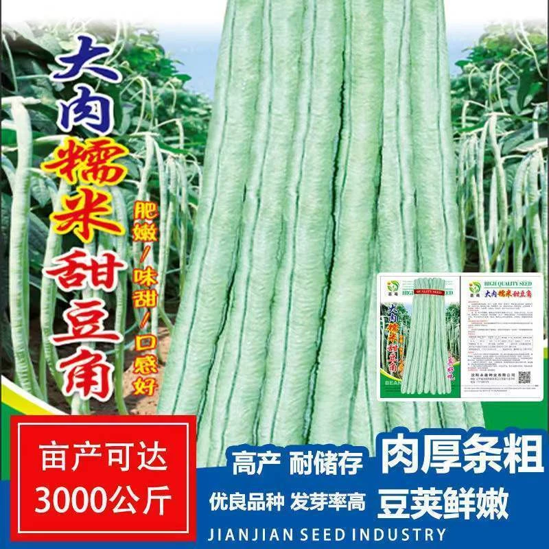 大肉糯米甜豆角种子种籽白长豆角春夏秋播白玉长豇豆易种蔬菜种子