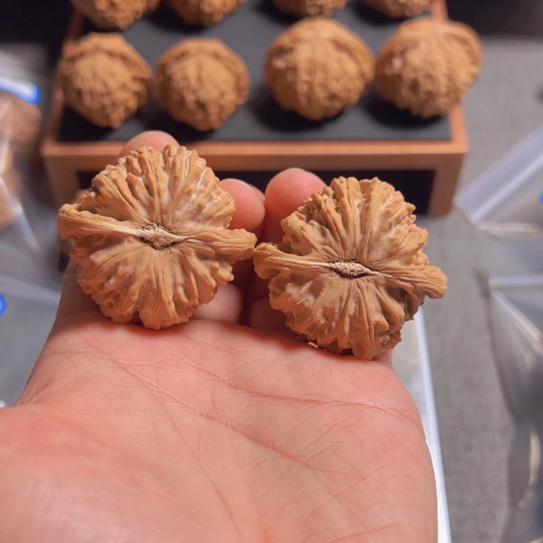 文玩核桃把件周***飞43三角白