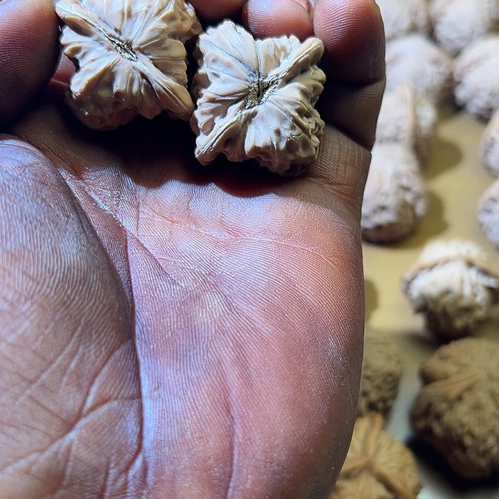 ****木把件文玩核桃文玩核桃
