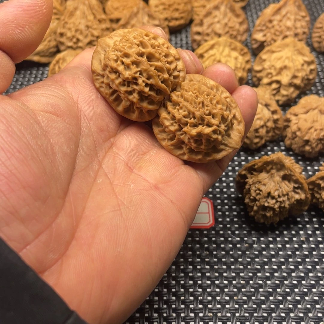 琦***了秦岭的小王核桃啊啊啊