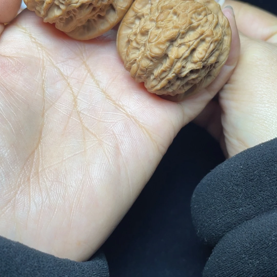 核桃血麒麟38尺全品