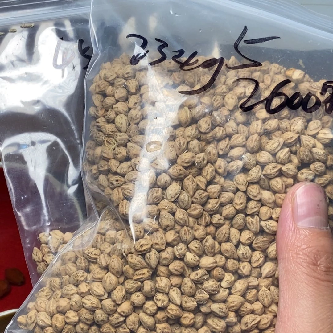 柏香籽/百香籽吊坠老*