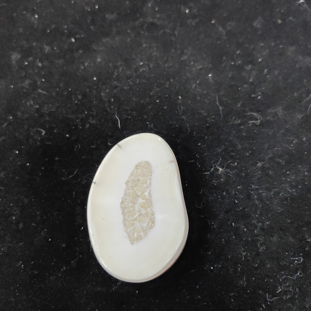 猛犸猛犸虬饼子WW40