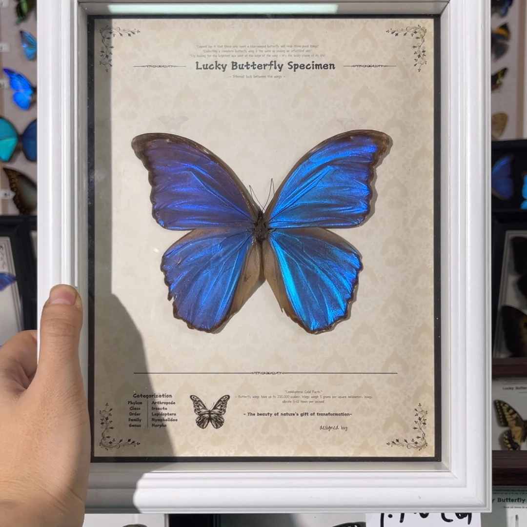 双层款实木轻瑕大蓝