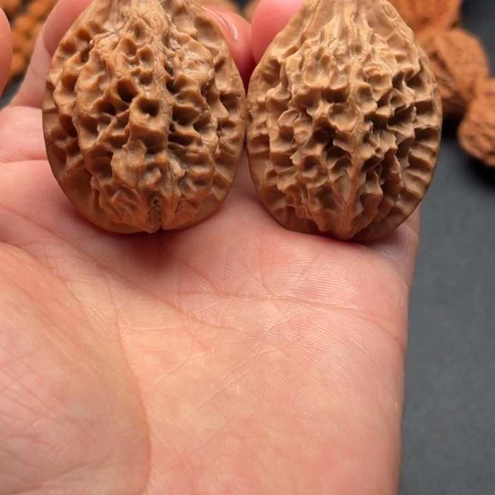 时***雨香榧木我国的经济发展和社会进步都