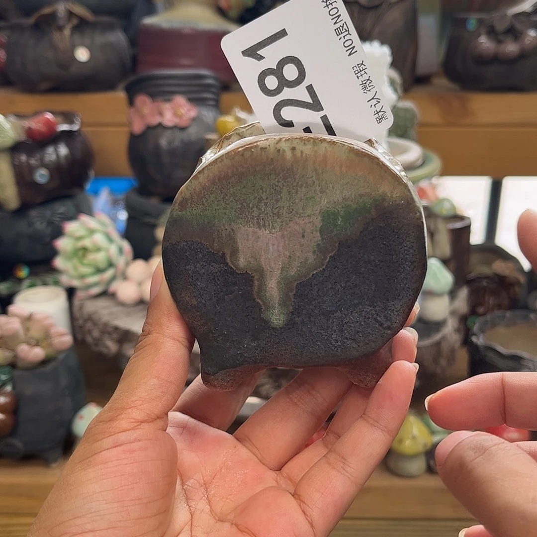 这个世界没有任何的281