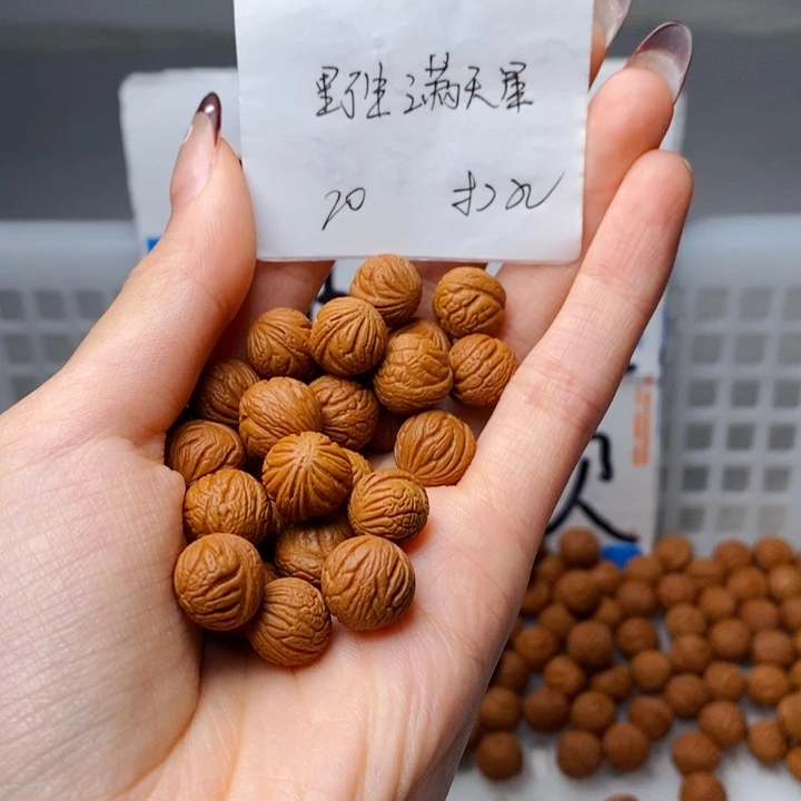 手串桃核11mm左右野生满天星20颗（打孔）