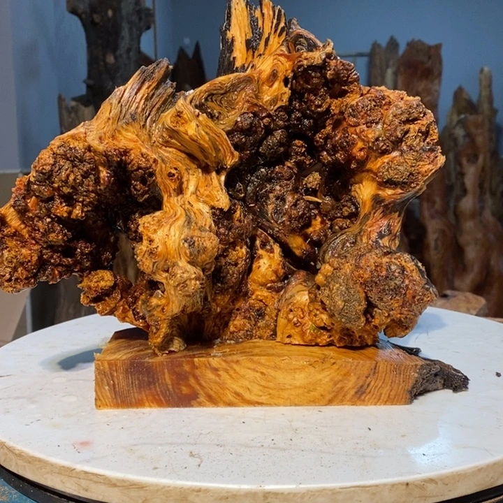 功**艺我们都是你的粉丝2