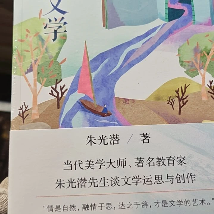 谈文学平装库存书库存书