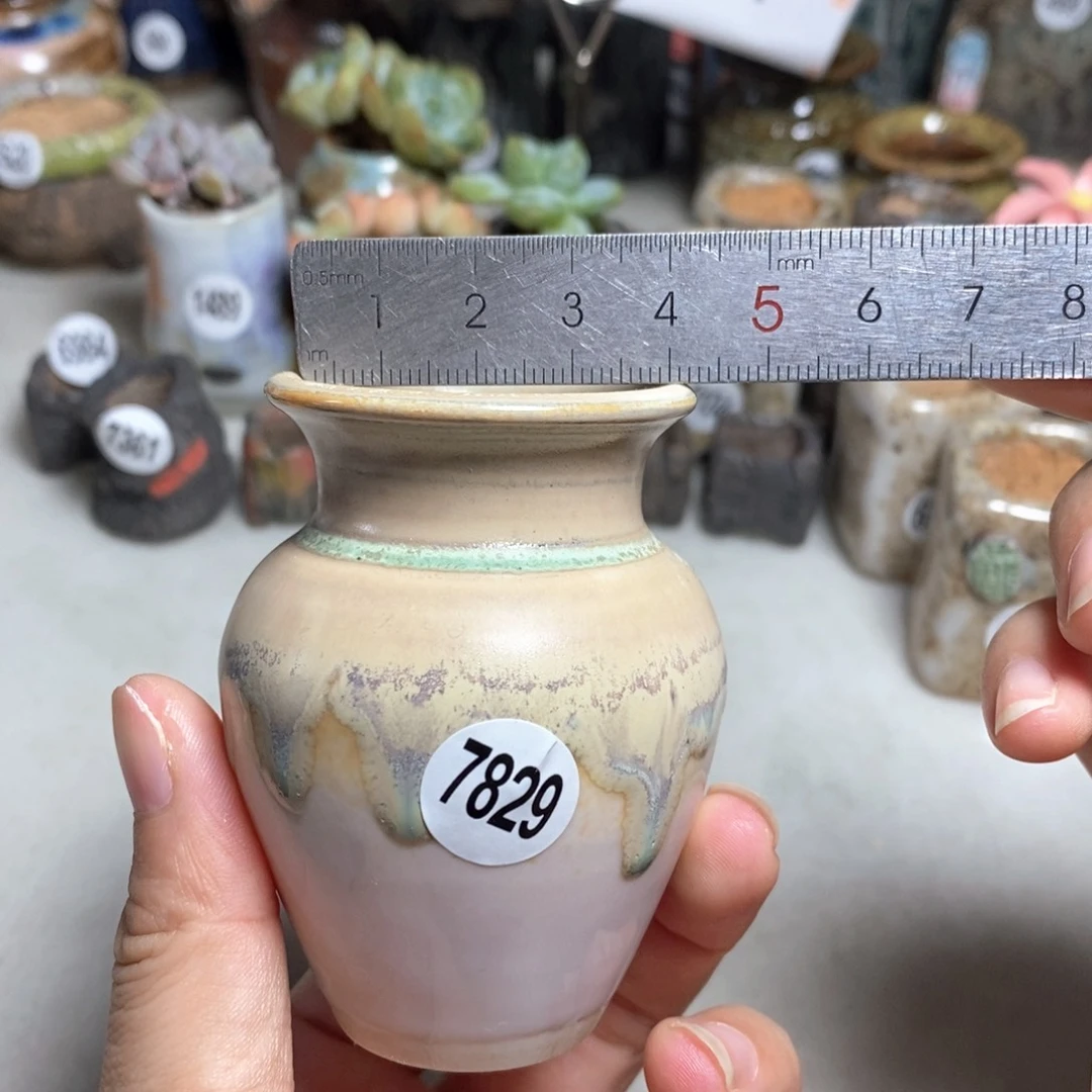 拍5送一个小礼物