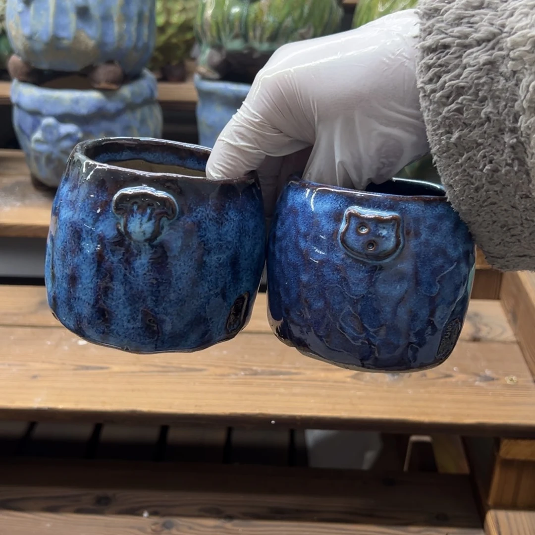 夏*唐朝多肉花盆百搭