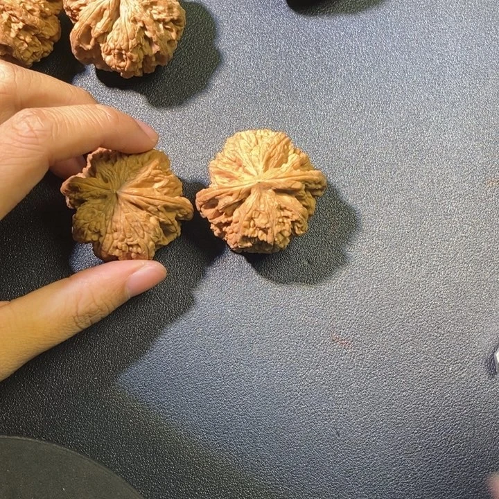 言***欢粗筋喜欢拍全品1111111