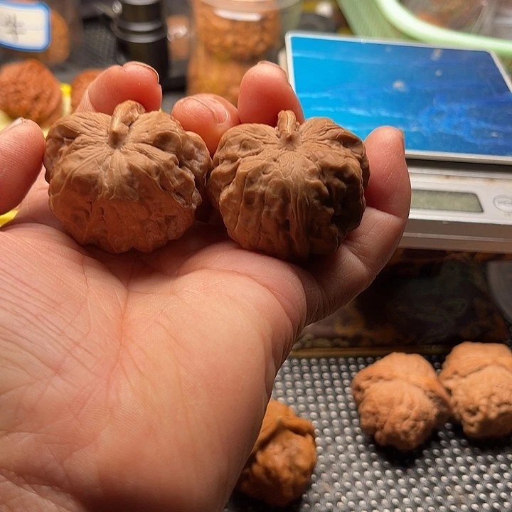 把件桃核蛤蟆头一帆风说