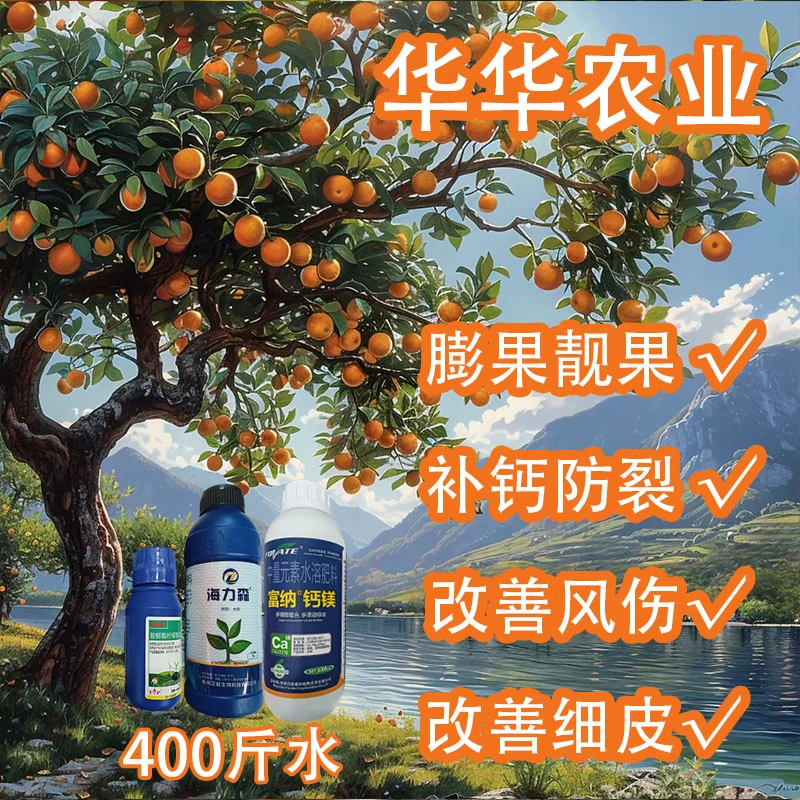 【华华农业】 400斤水 柑橘拉皮膨果方案 改善粗皮日灼果减少裂果
