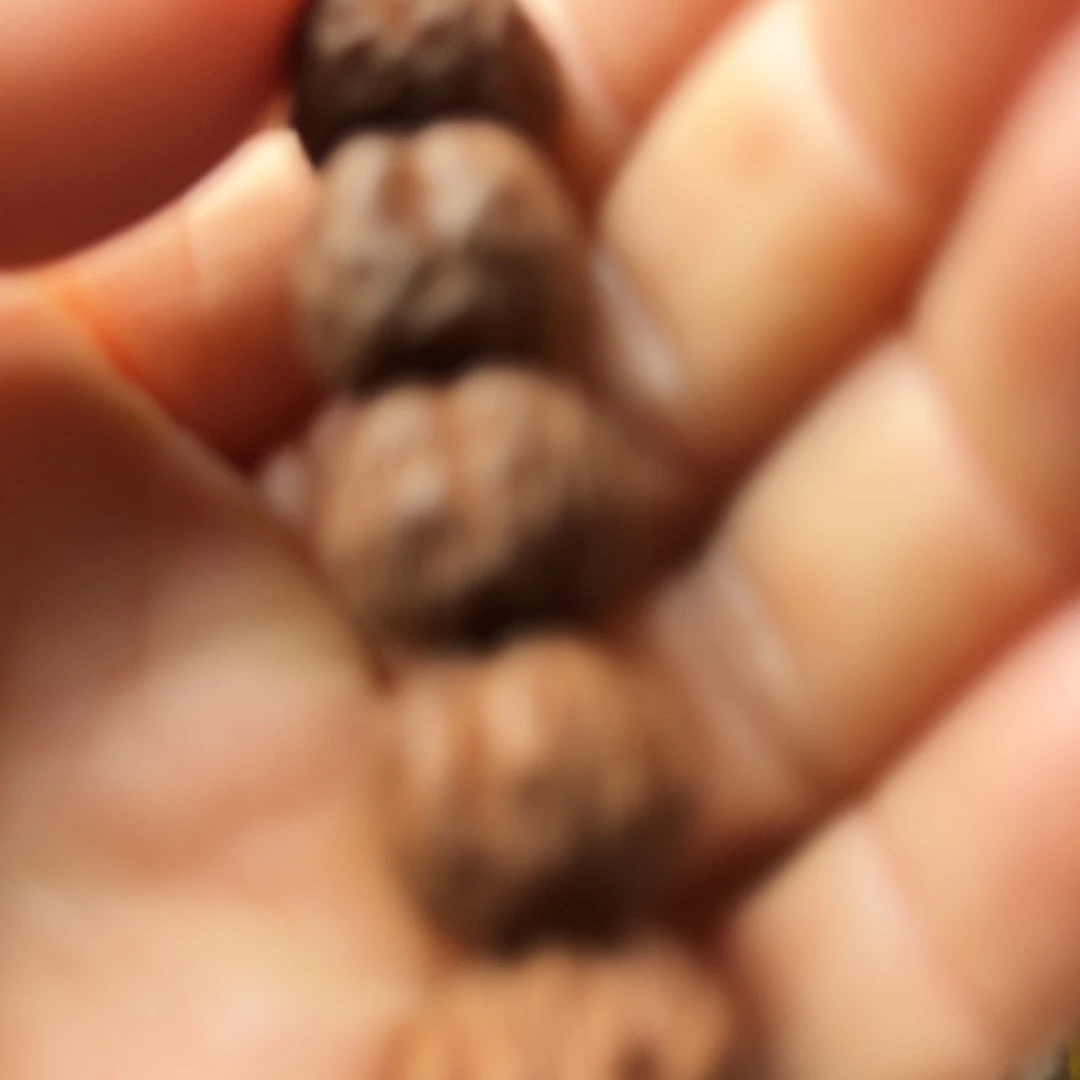 静***阳金刚菩提吊坠老树王单圈