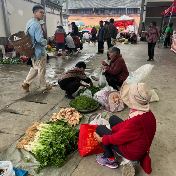 【桶珠】云南农家临时链接