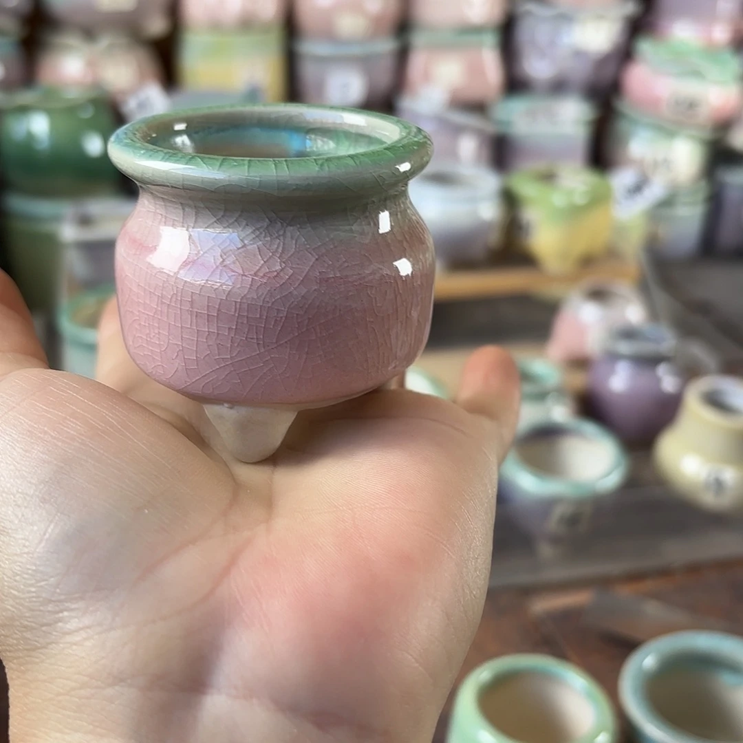 量货/口4高深浅搭配发6