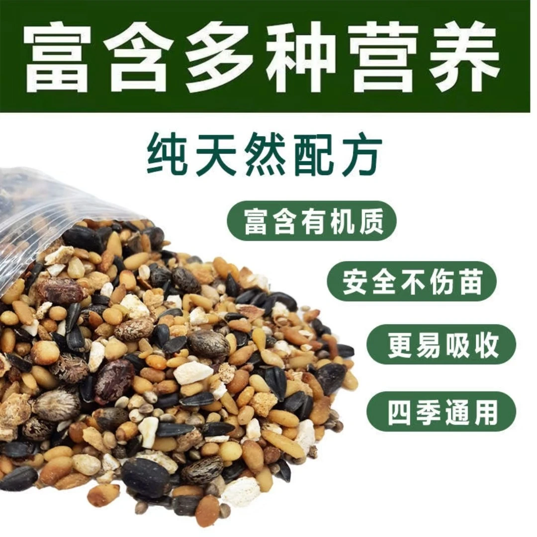君子兰专用有机混合固体肥用于君子兰换土腰肥底肥催花艳丽叶片厚