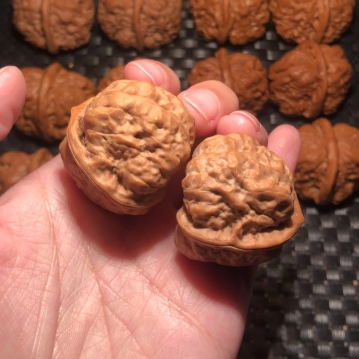 文玩核桃把件蛤蟆35