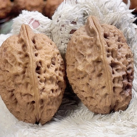 文玩核桃把件无*双节轮带彩35