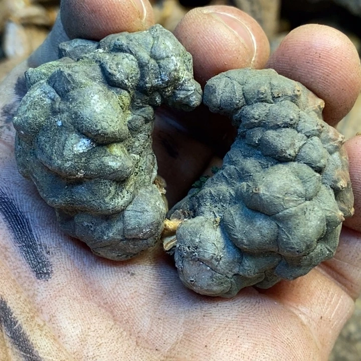 桃核吊坠娜姐真的164