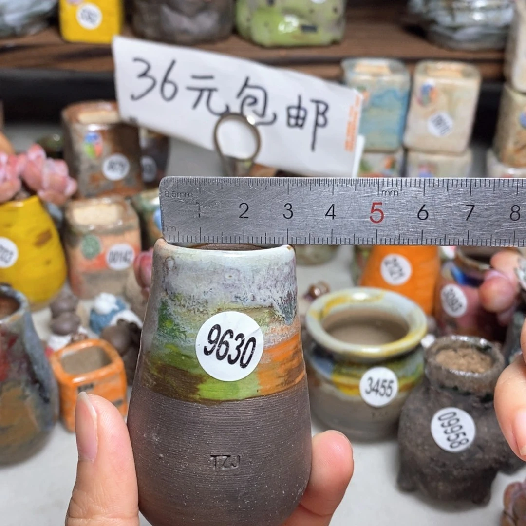 拍5送一个小礼物