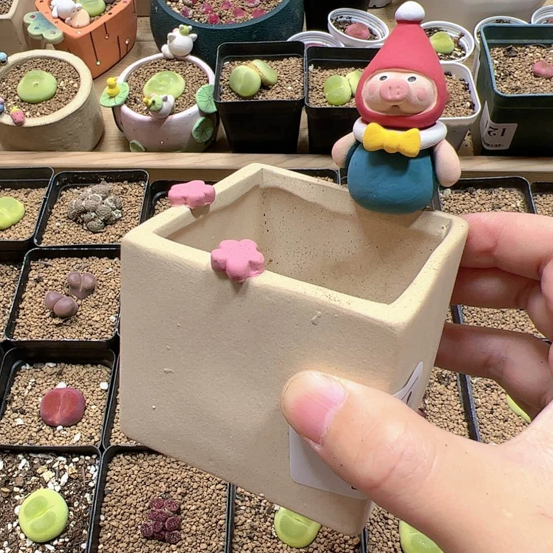【闪购商品】77  618 福利