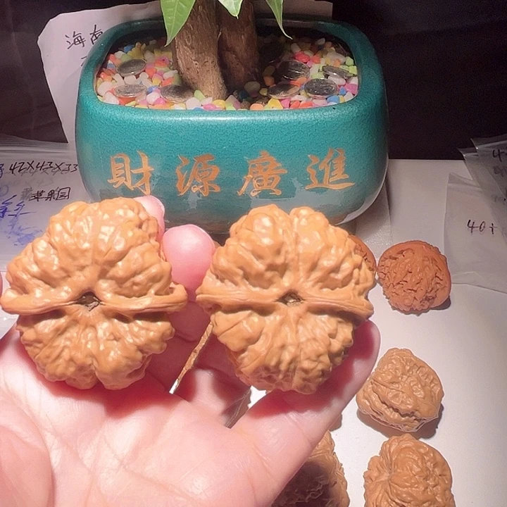 龙脊菩提吊坠蛤蟆头