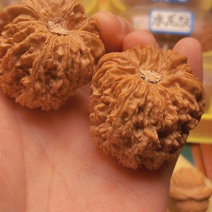 文玩核桃把件边44肚47全品大凹底137金蟾龟背