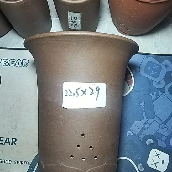 莲花金钟一个花盆