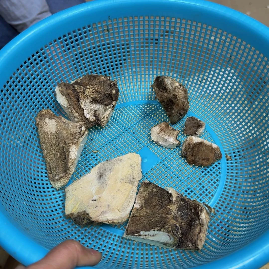 【闪购商品】沉香碎屑沉香拼手速惠东沉香38