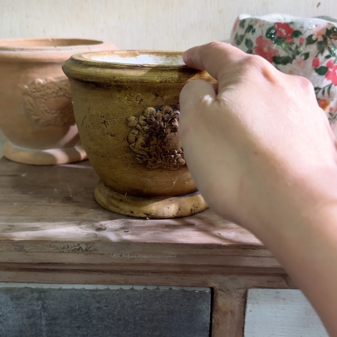 许纯的花房 古铜色圆盆