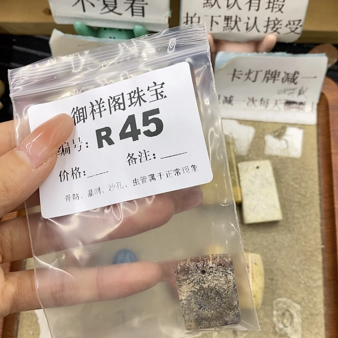 硅化珊瑚（珊瑚玉）未镶嵌颈饰不**夜