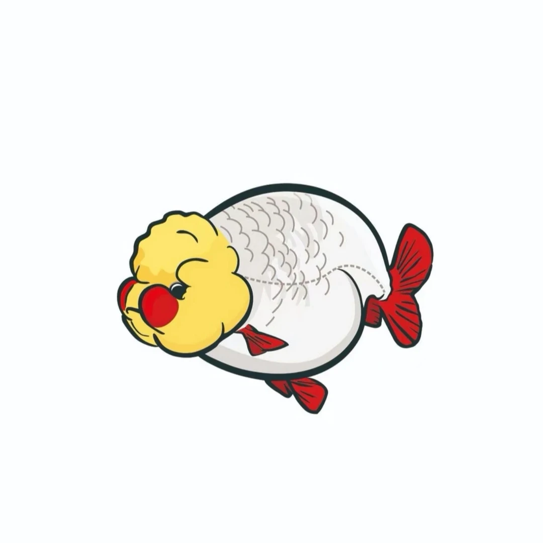 【直播间拍】 顺丰到付  一包2-3条  售后需开箱视频 兰寿金鱼